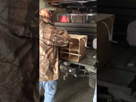 Larry Romeo Raptor Sweater