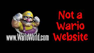 Nintendo Had a Secret Website