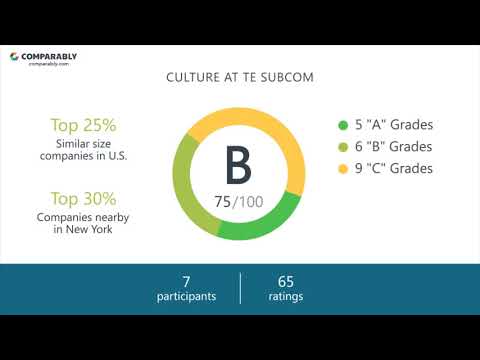 TE SubCom's CEO and Office Environment - Q1 2019