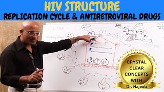 HIV AIDS | Sign Symptoms Transmission & Treatment | Dr Najeeb🩺