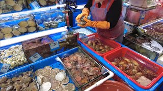 KOREA SEAFOOD MARKET! Where to eat affordable and fresh seafood in Kor