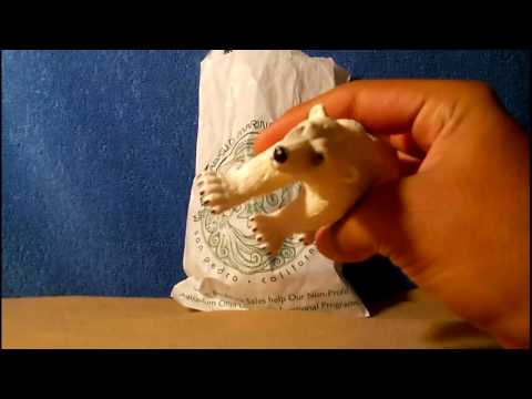 Small Cetacean Haul: 8/21/2016