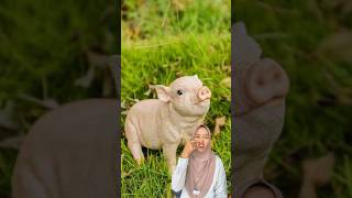 Download lagu Gimana suara babi❓ #shorts mp3