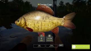 How to Level up Fast in Russian Fishing 4