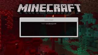 マイクラ続き（2）