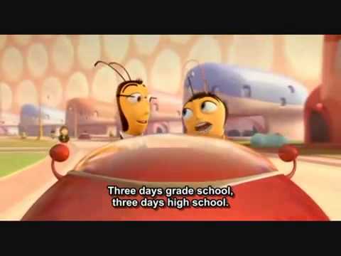 Bee movie - present simple