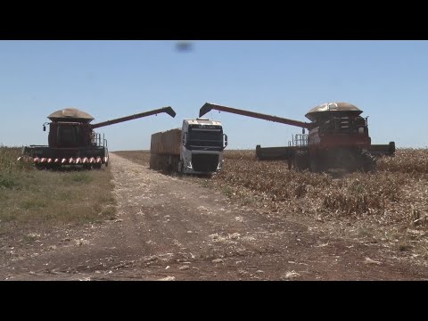 Invasão russa à Ucrânia afeta mercado em combustíveis e fertilizantes para agricultura 02 04 2022