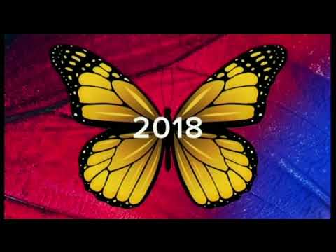 2020 Vodacom Durban July - Hollywoodbets Greyville Gallops