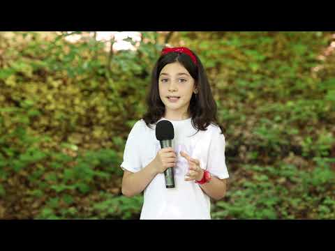 Animalele pădurii - Alexandra Mincu