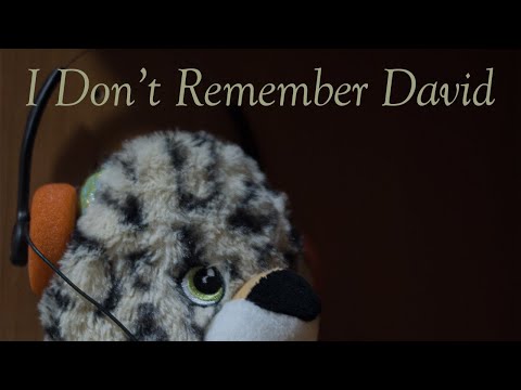 I Don't Remember David