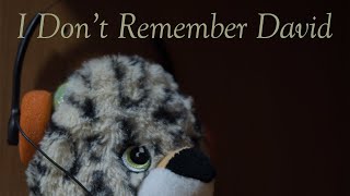 I Don't Remember David