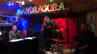 Video Kino Jana Nerudy: Rybník (Mandragora, 2021)