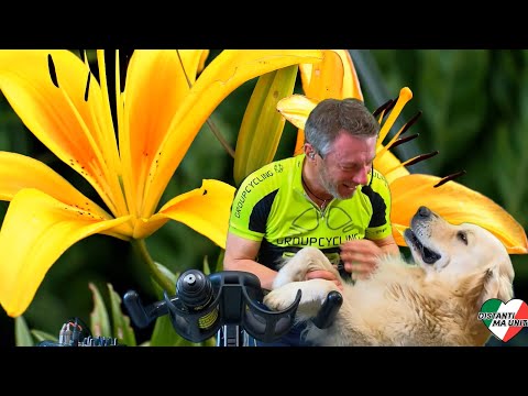 Trailer Lezione 21 Palestra virtuale - Aerobic Training - Indoor Cycling - Group Cycling - Spinning