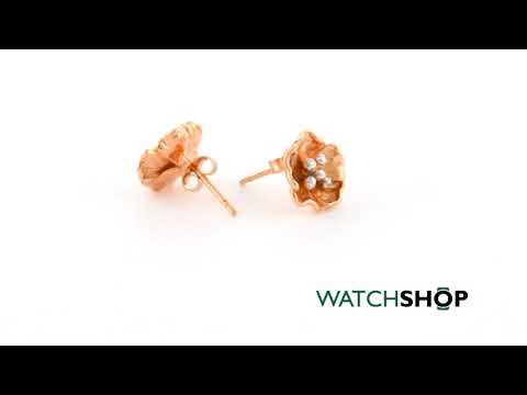download lagu mp3 mp4 Poppy Earrings Studs, download lagu Poppy Earrings Studs gratis, unduh video klip Poppy Earrings Studs