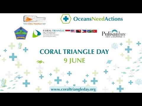 Coral Triangle Day 2023