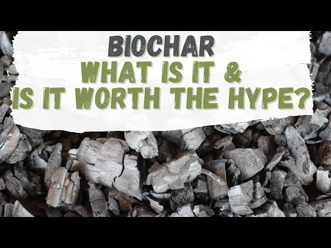 Biochar: What is it and is it worth the hype?