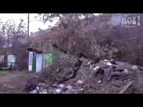 В Воронеже на улице Казакова местные жители установили 119 туалетов