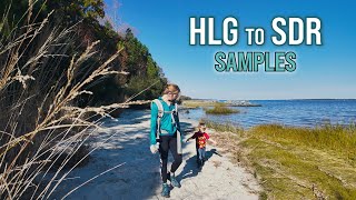 DJI Osmo Pocket 3 | HLG Samples Published in SDR Rec.709