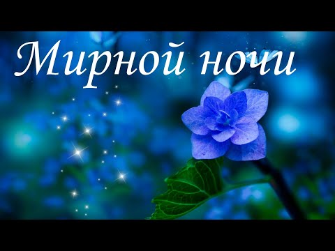 Самого Доброго Вечера....Доброй ночи ????Приятных сновидений