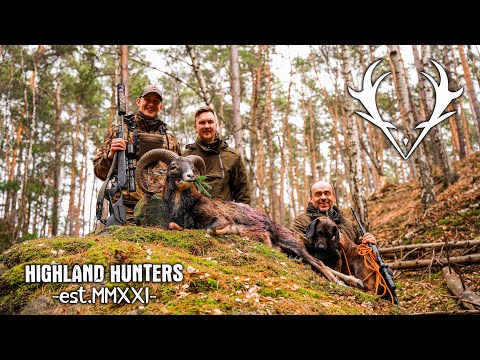 First Mouflon Hunting in Czech- Obora Žehrov