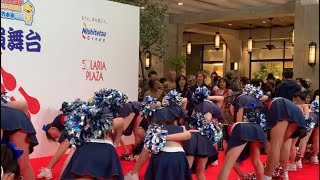 チアダンス！
