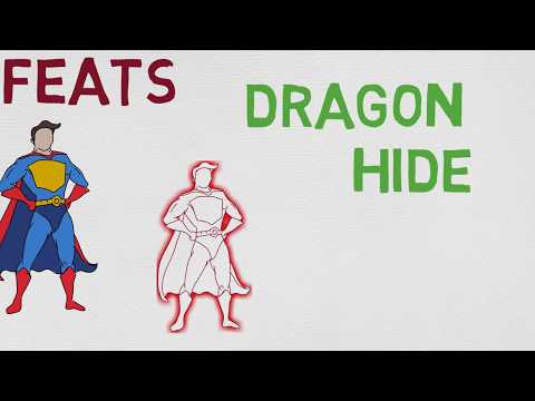 Dragon Hide 5e