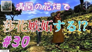 シェンムーⅡ#30第六部導かれし２人[女性実況]