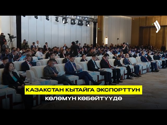 Казакстан Кытайга экспорттун көлөмүн көбөйтүүдө