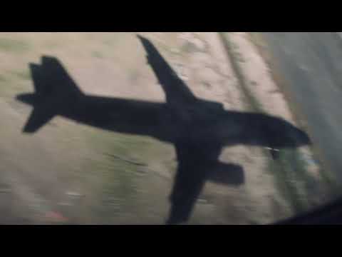 Lau Nau: Sessilia  (Official Video)