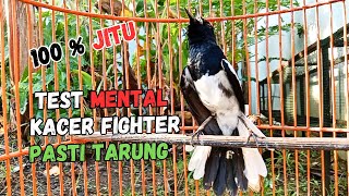 Download lagu AWAS KACERMU KONSLET JEBOL EMOSINYA DENGAR INI LANGSUNG ON BONGKAR ISIAN !! KACER GACOR ISIAN mp3 Download lagu AWAS KACERMU KONSLET JEBOL EMOSINYA DENGAR INI LANGSUNG ON BONGKAR ISIAN !! KACER GACOR ISIAN mp3