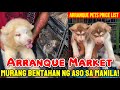 ARRANQUE PET MARKET | PRICE of PETS at ARRANQUE PET SHOP in MANILA! Dogs, Birds, Rabbits & MORE!