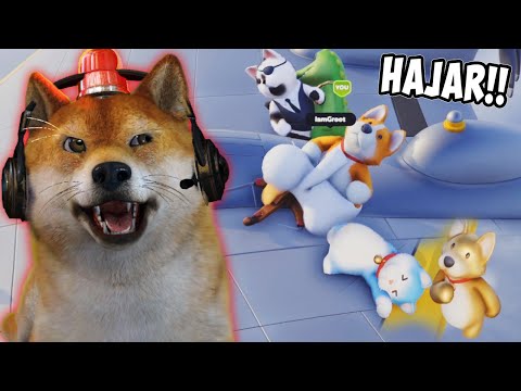 KAMI BERANTEM LAGI!! KUCING ANJING TIDAK AKUR!  - Party Animals