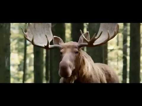 TV Spot - Off - Bug Spray - The Great Outdoors - Keeps Bugs Off