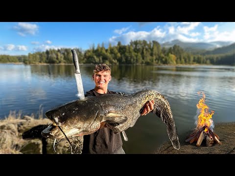 I catch, butcher, and eat a whole XXL catfish!