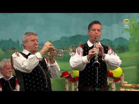 Ansambel ZUPAN - Martinova polka