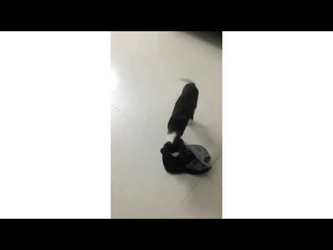 Julie is playing with cap