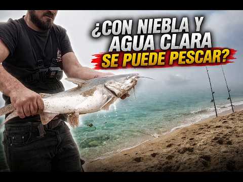 Santa Mónica con condiciones raras 🌫️ ¿hubo pesca o no?