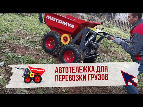 Мотомул МТ-300 [10]