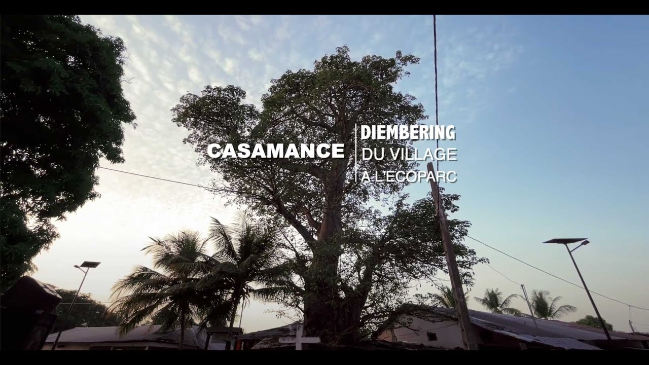 Casamance, Diembering, du village à l'Écoparc