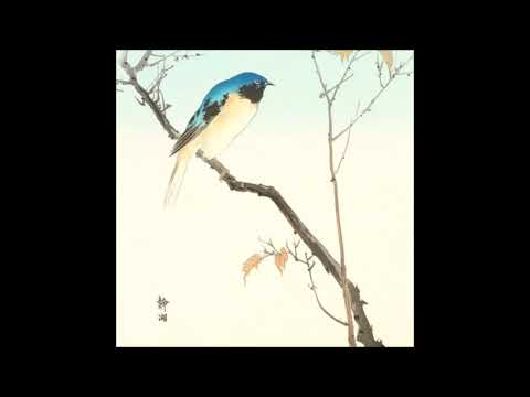 10. sincerityisdead - 座る滞在 [Sitting stay] [03.04.2017]