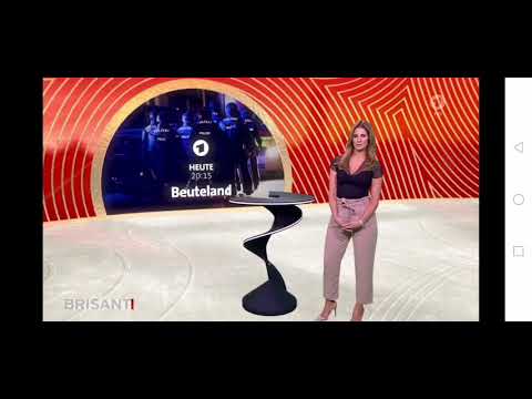 Leimen Großeinsatz der Polizei - Brisant ARD