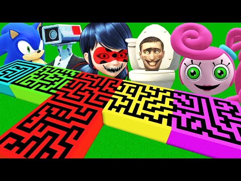 HANGİ ÜRPERTİCİ LABİRENTİ SEÇMELİYİM - 😱 Minecraft Enes Arslan