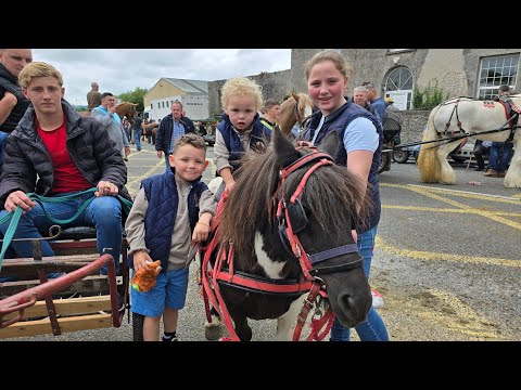 Târgul de cai Cahirmee, 2024. Buttevant, Cork.