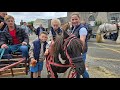 Cahirmee Horse Fair 2024 Buttevant Cork