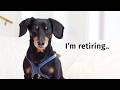 Ep 73 Crusoe Is Officially RETIRING And What It Means Going Forward