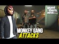 Monkey Gang Is After Trevor And Ashraf Bhai Gta 5 Stories
