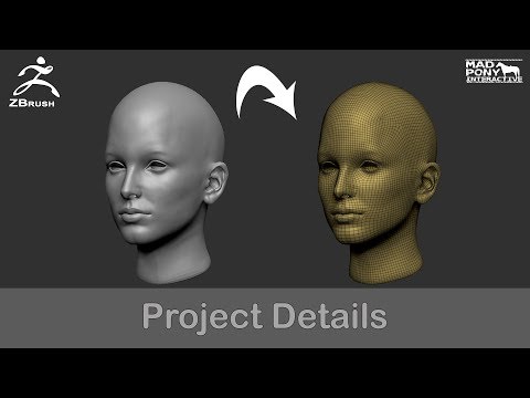 Zbrush - Project Details using a macro