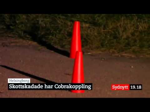 Kakrånargänget Black Cobra bakom skottlossning i Helsingborg