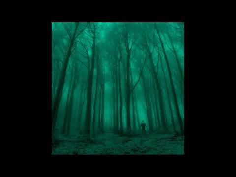 40. RHISIS - fog [07.12.2018]