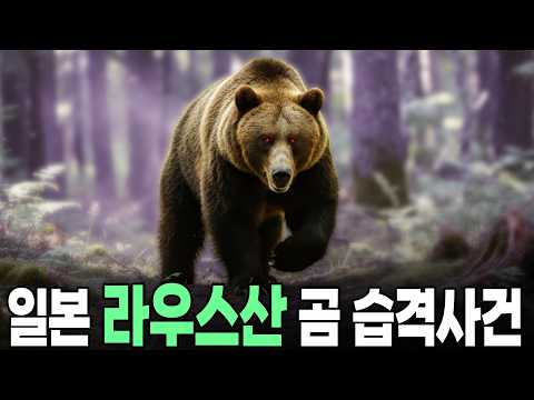 The Rausu Mountain Bear Attack Incident in Japan